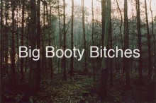 big booty bitches.jpg